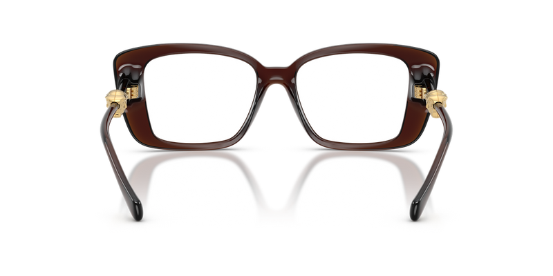 Versace VE3385U in Transparent Brown / Demo Lens (5547) - Alternate View
