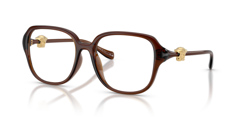 Versace VE3386D in Transparent Brown / Demo Lens (5534) - Alternate View