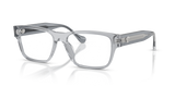 Transparent Grey / Demo Lens (5432)