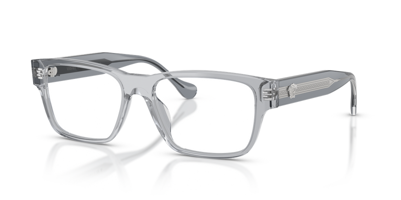 Versace VE3390U in Transparent Grey / Demo Lens (5432) - Alternate View