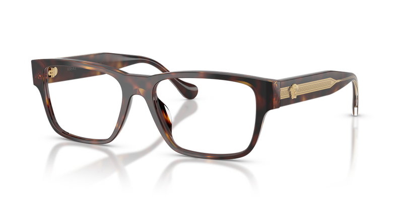 Versace VE3390U in Havana / Demo Lens (5537) - Alternate View