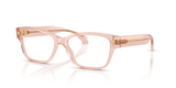 Transparent Pink / Demo Lens (5339)