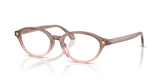 Brown/Pink / Demo Lens (5435)