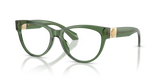 Transparent Green / Demo Lens (5144)