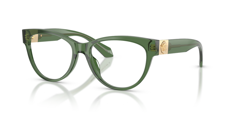 Versace VE3402U in Transparent Green - Alternate View