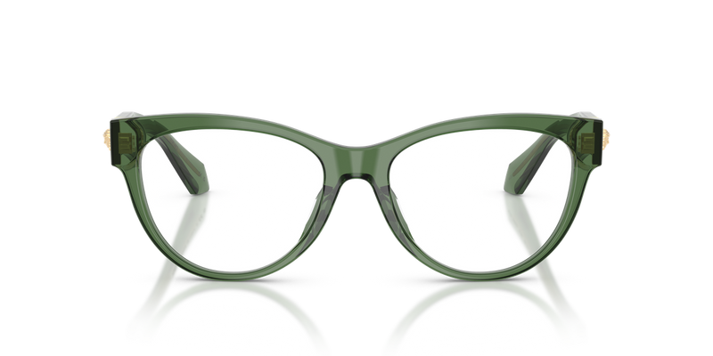 Versace VE3402U in Transparent Green - Alternate View
