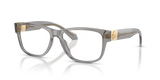 Transparent Grey / Demo Lens (5510)