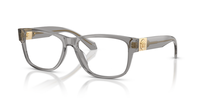 Versace VE3403U in Transparent Grey - Alternate View