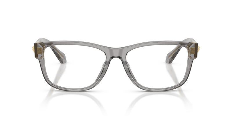 Versace VE3403U in Transparent Grey - Alternate View