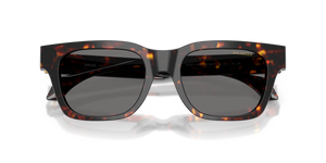 Havana / Dark Grey Polarized (550981)
