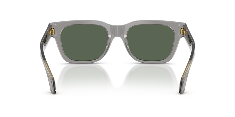 Versace VE4486 in Transparent Grey - Alternate View