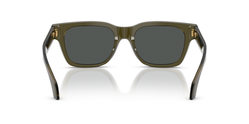 Versace VE4486 in Transparent Green - Temple Detail