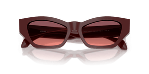 Solid Red / Pink Gradient Violet (551520)
