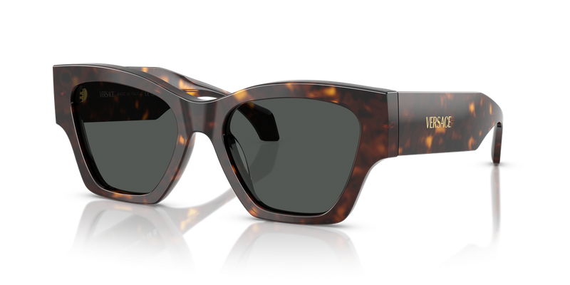 Versace VE4492U in Dark Havana / Dark Grey (108/87) - Alternate View