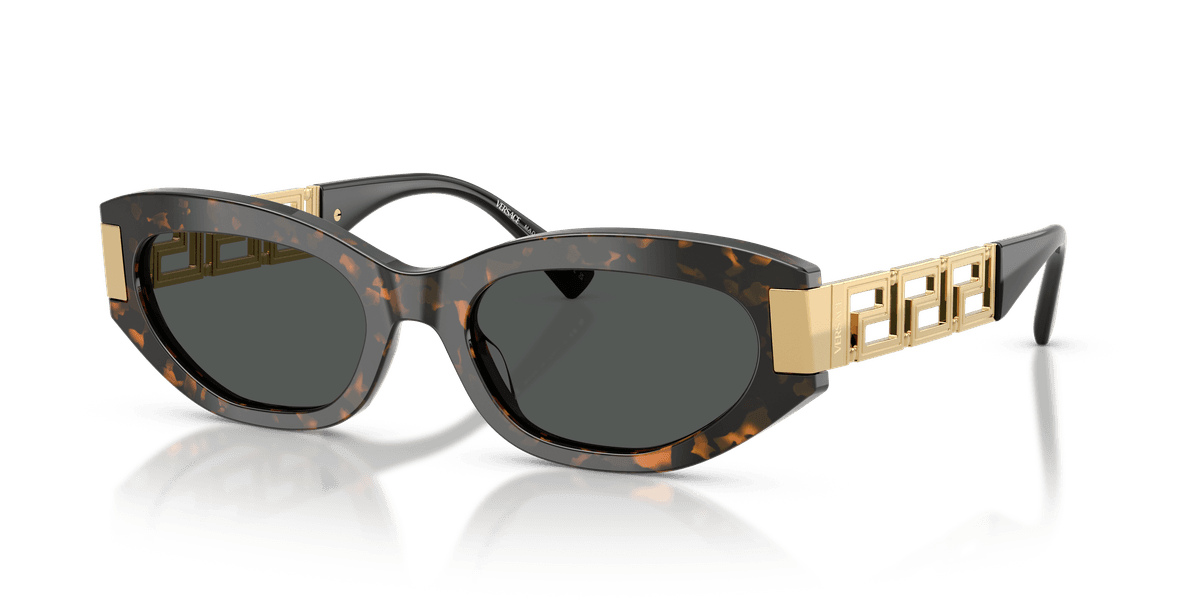 Versace VE4501