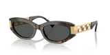 Brown Tortoise / Dark Grey (552887)