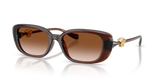 Transparent Brown / Brown Gradient (533213)
