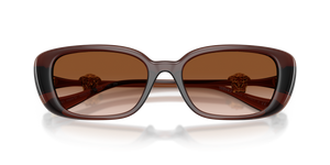 Transparent Brown / Brown Gradient (533213)