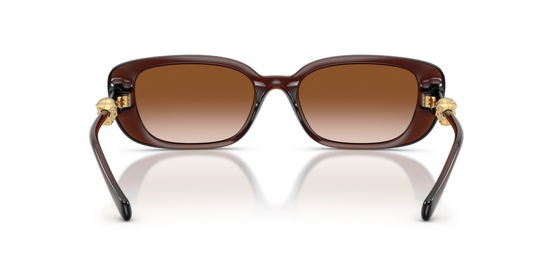 Versace VE4504D in Transparent Brown / Brown Gradient (533213) - Temple Detail