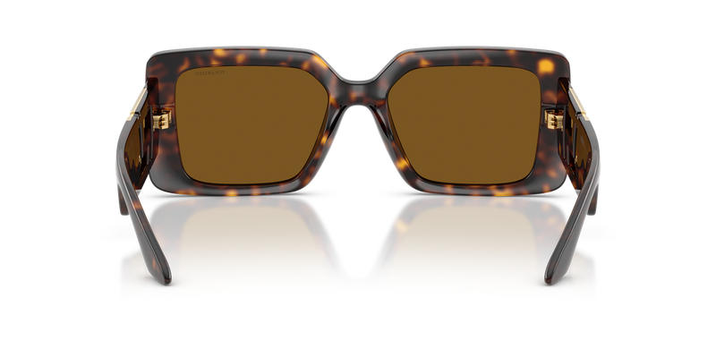 Versace VE4505U in Havana / Brown Polarized (108/83) - Alternate View