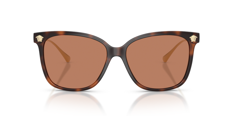 Versace VE4507U in Havana / Brown (108/73) - Alternate View