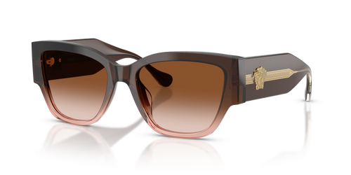 Brown Gradient (533213)