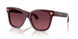 Burgundy / Gradient Purple (5381F4)