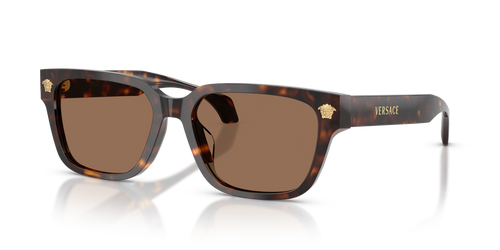 Havana / Dark Brown (108/73)