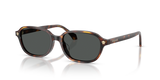 Havana / Dark Brown (553773)
