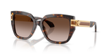 Dark Havana / Brown Gradient (108/13)