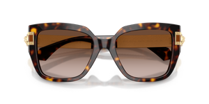 Dark Havana / Brown Gradient (108/13)