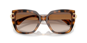 Brown Havana / Pink Gradient Violet (526420)
