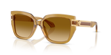 Transparent Honey / Yellow Gradient Light Brown (53472L)
