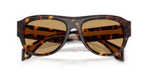 Dark Havana / Brown (108/73)