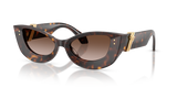 Dark Havana / Brown Gradient (108/13)