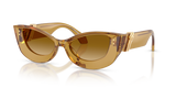 Transparent Honey / Yellow Gradient Light Brown (53472L)