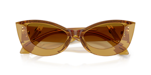 Transparent Honey / Yellow Gradient Light Brown (53472L)