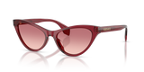 Transparent Red / Pink Gradient Red (388/20)
