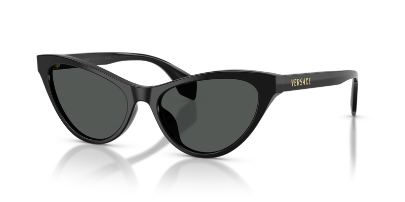 Versace VE4522U in Black - Alternate View