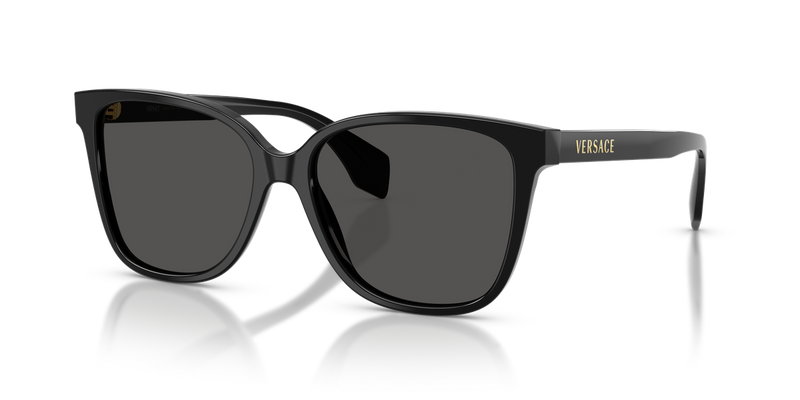 Versace VE4523F in Black - Alternate View