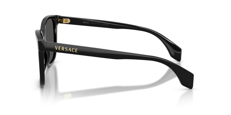 Versace VE4523F in Black - Alternate View