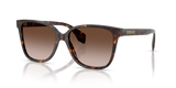 Dark Havana / Brown Gradient (108/13)