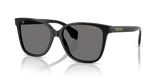 Black / Dark Grey Polarized (GB1/81)