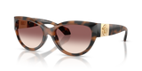 Brown Havana / Pink Gradient Violet (526420)