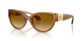 Transparent Honey / Yellow Gradient Brown (53472L)