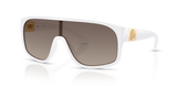 White / Clear Gradient Dark Grey (314/6I)