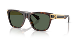 Dark Havana / Dark Green (108/71)