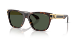 Dark Havana / Dark Green Polarized (108/9A)
