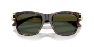 Dark Havana / Dark Green Polarized (108/9A)