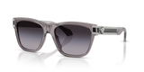 Transparent Grey / Grey Gradient (55548G)